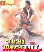 Tu Hi Mera Dil 1995 song download